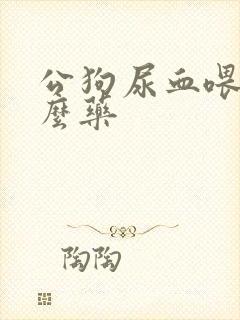 公狗尿血喂点什么药