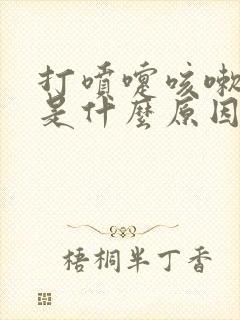 打喷嚏咳嗽漏尿是什么原因引起的