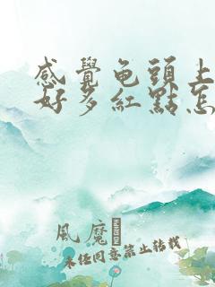 感觉龟头上冒出好多红点怎么回事