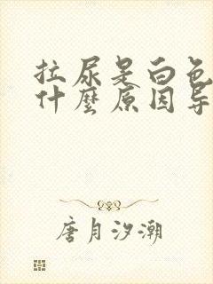 拉尿是白色的是什么原因导致的