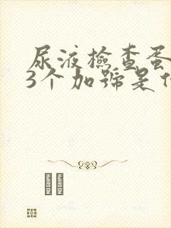 尿液检查蛋白质3个加号是什么意思