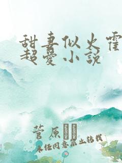 甜妻似火霍爷他超爱小说