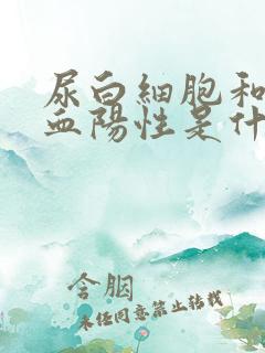 尿白细胞和尿隐血阳性是什么病