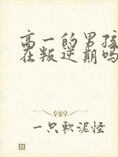 高一的男孩子还在叛逆期吗?