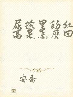 尿检里的红细胞高是怎么回事