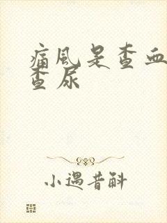 痛风是查血还是查尿