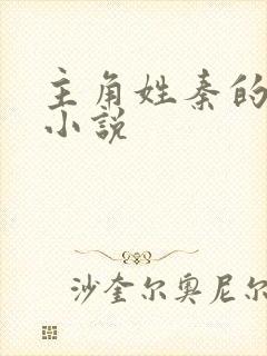 主角姓秦的都市小说