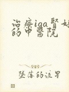 治疗iga肾好的中医院