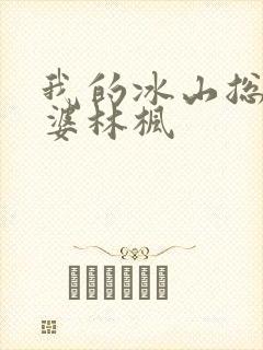 我的冰山总裁老婆林枫