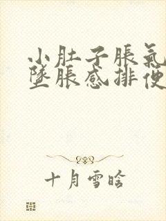 小肚子胀气肛门坠胀感排便困难