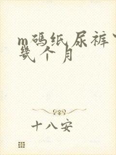 m码纸尿裤穿到几个月