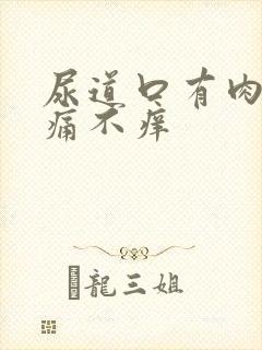 尿道口有肉粒不痛不痒