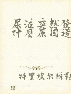 尿液突然发黄是什么原因造成的