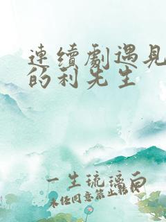 连续剧遇见爱情的利先生