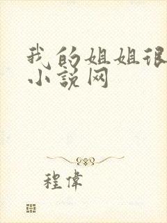 我的姐姐很弟控小说网