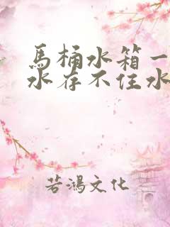 马桶水箱一直漏水存不住水怎么办