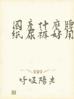 国产什么牌子的纸尿裤好用