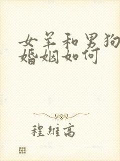 女羊和男狗相配婚姻如何