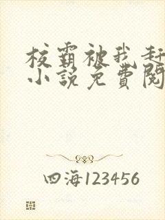 校霸被我赶透了小说免费阅读