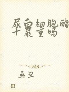 尿白细胞酯酶3十严重吗