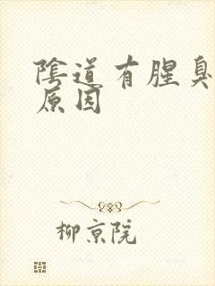 阴道有腥臭味的原因