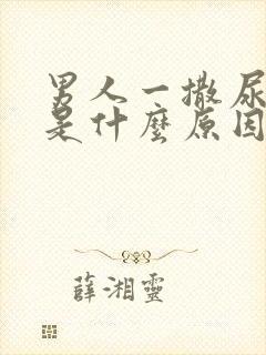 男人一撒尿就疼是什么原因