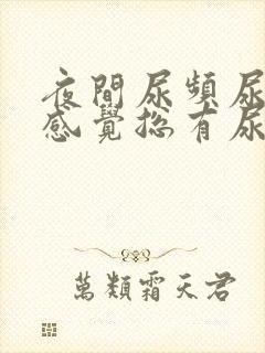 夜间尿频尿不尽感觉总有尿意