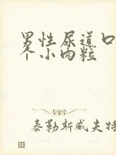 男性尿道口内有个小肉粒