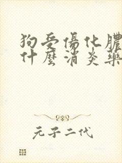 狗受伤化脓了用什么消炎药好得快