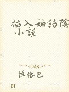 插入她的阴道里 小说