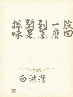 总闻到一股尿骚味是怎么回事