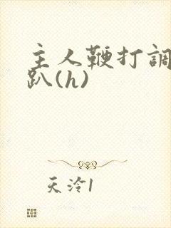 主人鞭打调教跪趴(h)