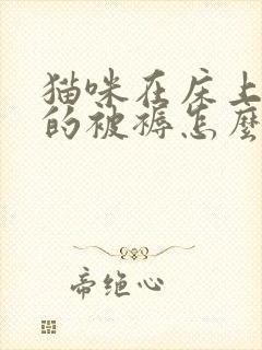 猫咪在床上拉尿的被褥怎么处理