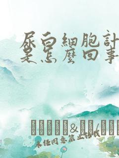 尿白细胞计数高是怎么回事儿