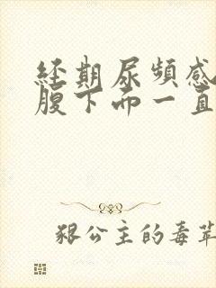 经期尿频感觉小腹下面一直有尿意