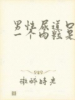 男性尿道口长了一个肉粒是怎么回事