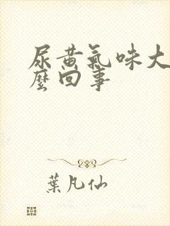 尿黄气味大是怎么回事