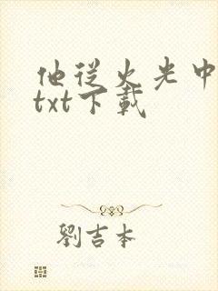 他从火光中走来txt下载