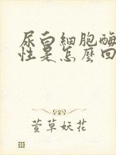 尿白细胞酶弱阳性是怎么回事