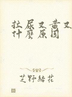 拉尿又黄又臭是什么原因