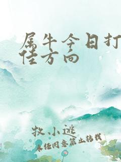 属牛今日打牌最佳方向