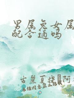 男属兔女属蛇婚配合适吗