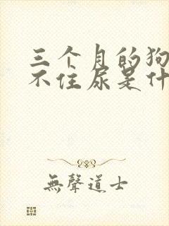 三个月的狗狗憋不住尿是什么原因