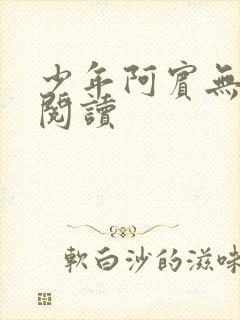 少年阿宾无删减阅读