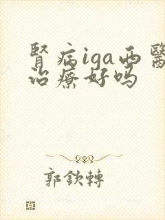 肾病iga西医治疗好吗