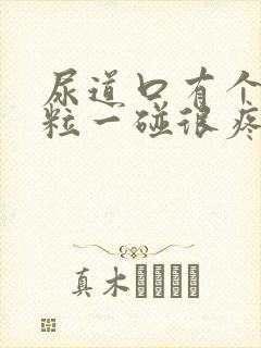 尿道口有个小肉粒一碰很疼