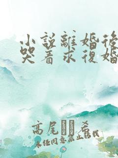 小说离婚后前夫哭着求复婚原文免费阅读