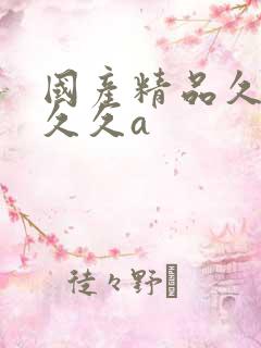 国产精品久久久久久a