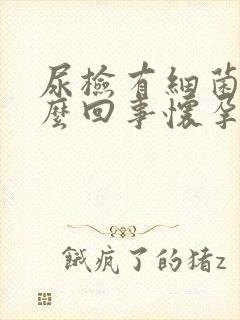 尿检有细菌是怎么回事怀孕