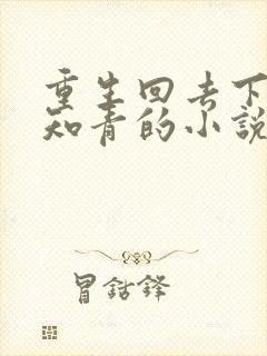 重生回去下乡做知青的小说